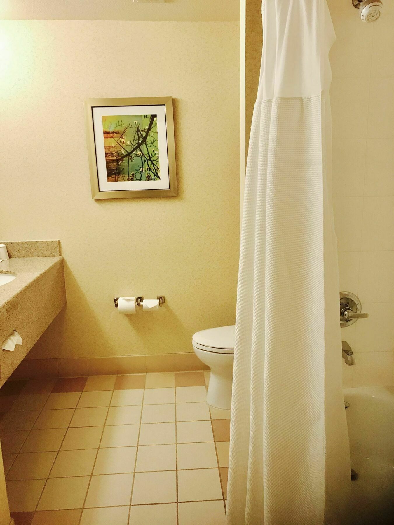 Fairfield Inn And Suites Sacramento Airport Natomas West Sacramento Exterior photo